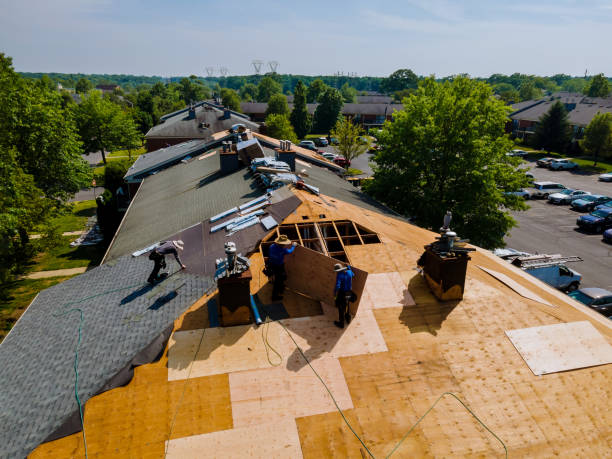 Best Flat Roof Repair Services  in Crown Heights, NY